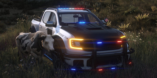 Vapid Deranged X Police