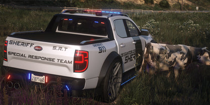 Vapid Deranged X Police