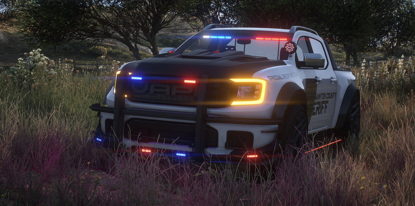 Vapid Deranged X Police