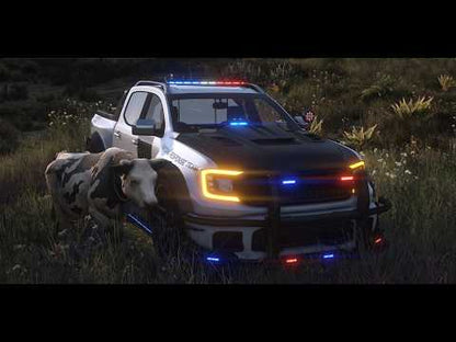 Vapid Deranged X Police